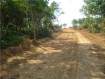 Burmese goverment project along the coastal route between Kyaikami and Set Sae village the road driven through rubber plantations. Photo: IMNA