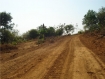 Burmese goverment project along the coastal route between Kyaikami and Set Sae village the road driven through rubber plantations. Photo: IMNA
