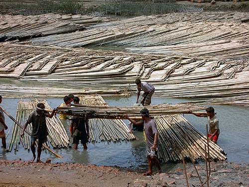 Refugees working in the border trade zone in Teknaf 