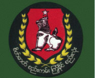 USDP-Myanmar