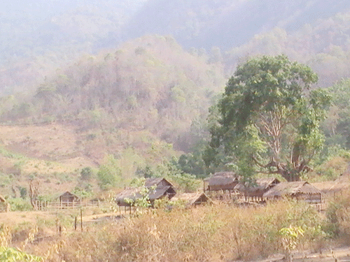 a_village_shardaw