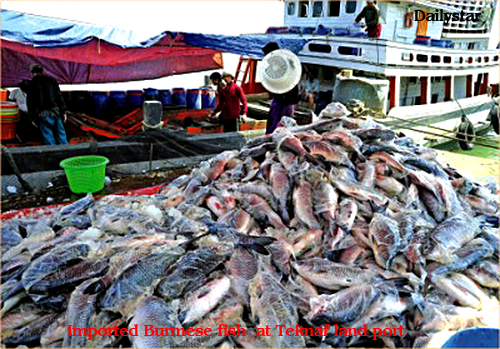 Bangladesh depends on fish imports from Burma | Burma News International