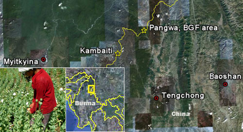 opium_field_burma