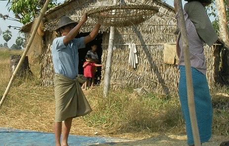 မွန်ပြည်နယ်တနေရာတွင် လယ်သမားများ စပါးလှေ့နေစဉ် (ဓာတ်ပုံ - လွတ်လပ်သော မွန်သတင်းအေဂျင်စီ)