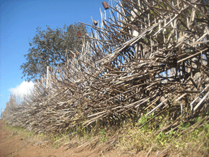 Burmese military camp, known as Point 3712, which based on the border side of Thailand and the fences were built by the force of Karenni people