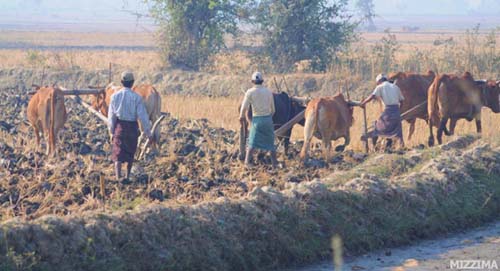 farmer-life-in-field