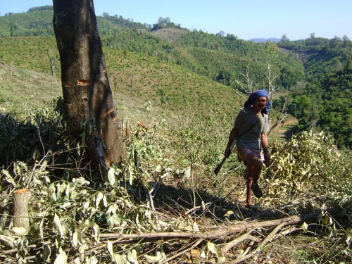 Taungoo_local_people_cuting_for_hill_farm