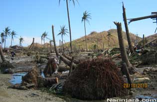 Cyclone-giri-affected-area