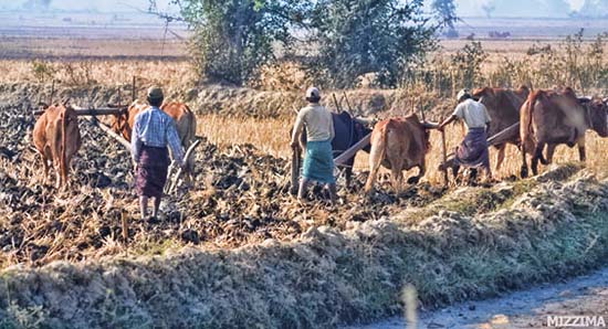 farmer-life-in-field