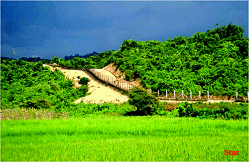 fence-road