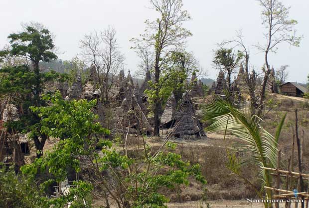 ကျောက်ဖြူမြို့နယ်မှ လက်ယပ်ရေနံတွင်းများကို ဓနိများဖြင့် မိုးထားကြရသည်။ ( ဓါတ်ပုံ- နိရဥ္စရာ)