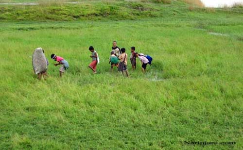 Pasture-in-Arakan