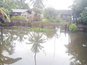 loikawflood