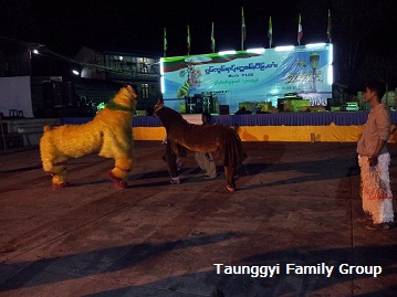 တောင်ကြီးမြို့ သျှမ်းနှစ်သစ်ကူး ( Taunggyi Family Group)