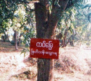 farmland-confiscated-Burmese-Army