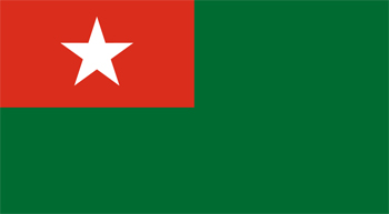 USDP Flag