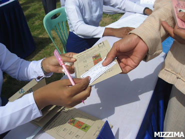 voting-in-2010election