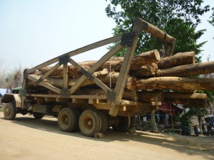 Logging-in-southern-Burma