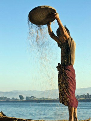 Rakhaine-farmer-Arakan