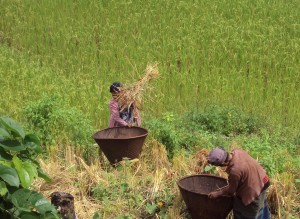 Karen villagers working in their hill farm in Taungoo district of Karen State