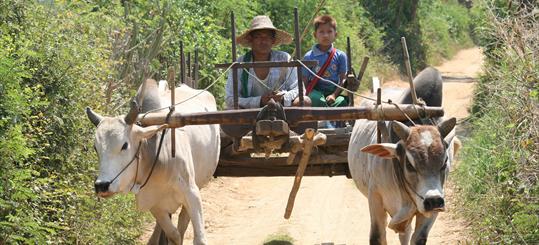 Modern-transportation-Arakan