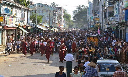  Coral Arakan