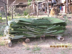 Villagers compile Thatch shingles ordered by BGF (photo-KHRG)