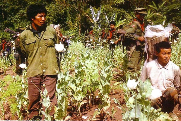 kia arrest chinese opium grower