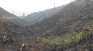 land-grabbing-in-Southern-Burma