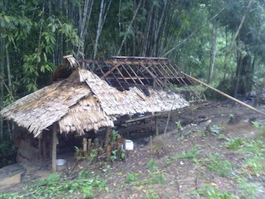 Homes that were torched by a government column.