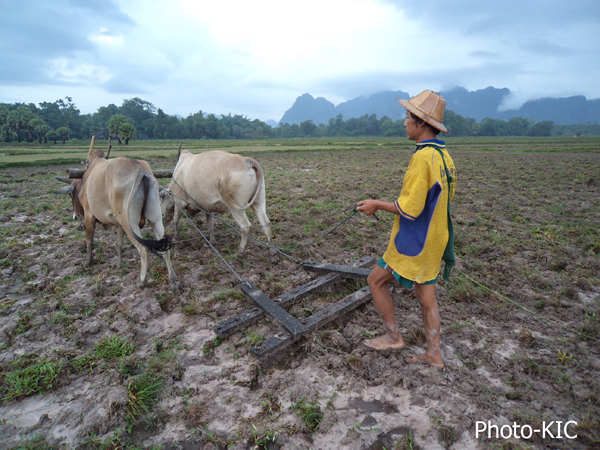 Farmer-pic