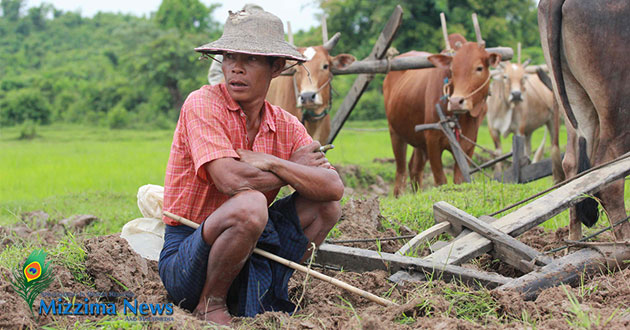 Paddy-Land-Battle-7