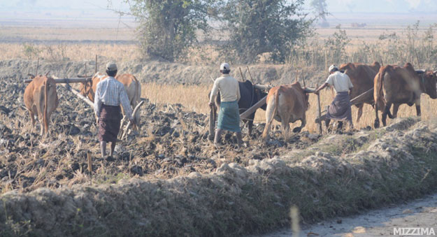 farmer-life-in-field