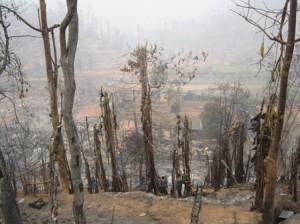 Burnt area of Mae Suree refugee camp (photo-TBC)