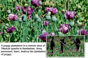 Bangladeshi army destroy poppy fields near Burmese border