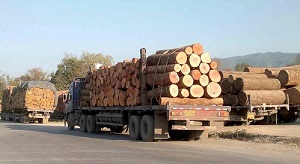 teak car