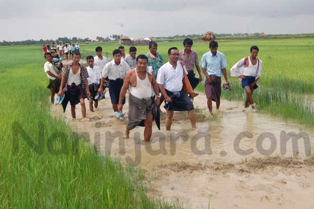 ရခိုင်ပြည်နယ် ပေါက်တောမြို့နယ်မှ ကျေးရွာချင်းဆက် လမ်းတစ်လမ်းကို တွေ့ရစဉ်။ (ဓါတ်ပုံ- နိရဥ္စရာ)