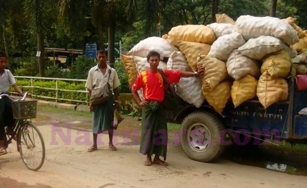 စည်ပင်ရုံးရှေ့တွင် ထော်လာဂျီများနှင့် အတူ မင်းပြားသို့ သွားရောင်းမည့် ခရမ်းသီးထုပ်များကိုတွေ့ရစဉ်