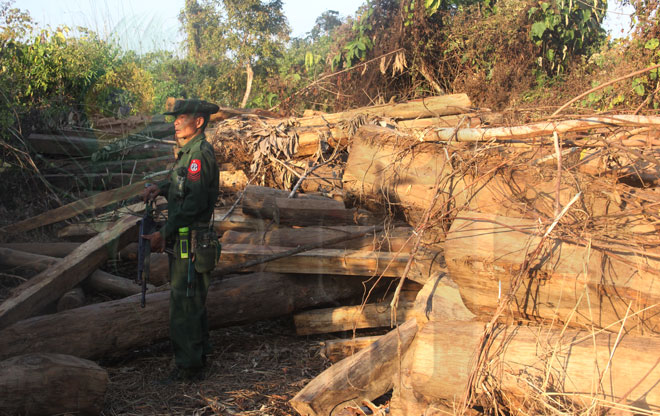 Myanmar-Wood