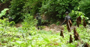 KNLA-soldiers-on-action