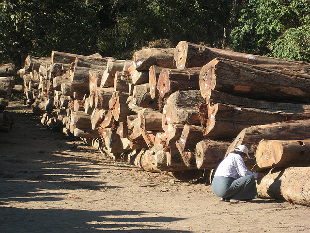 Teak-in-Chin-state