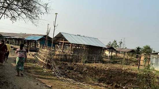 ho tong market crop