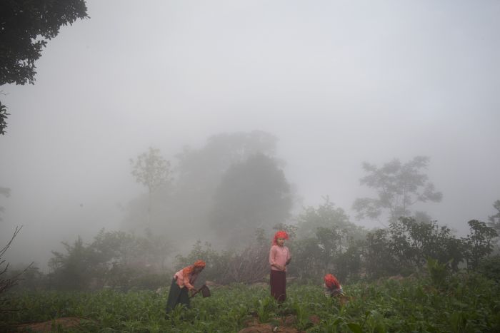 Paddle8/Internet) Paddle8/Internet)