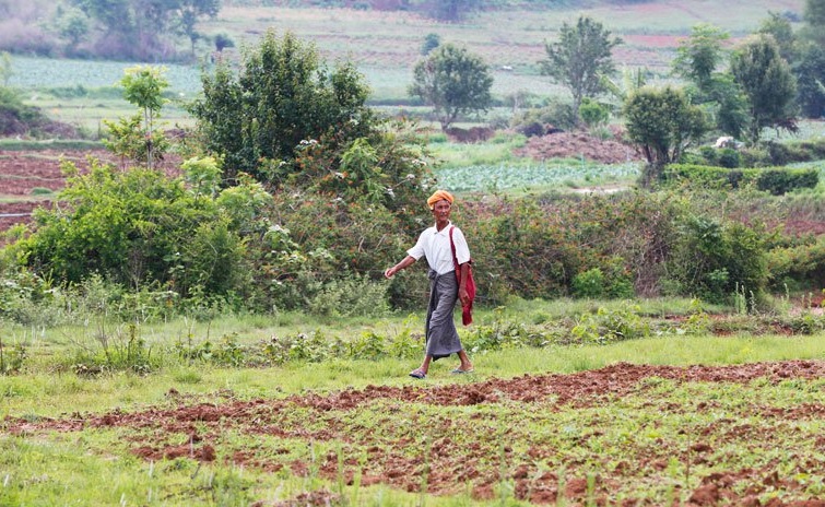 Confiscated land returned to farmers | Burma News International