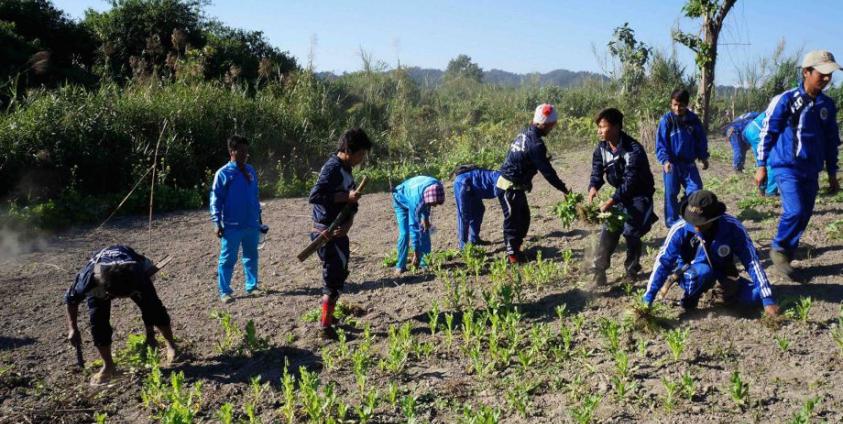 ပုံဟောင်းအသုံးပြုထားပါသည်။ မြစ်ကြီးနားသတင်းဂျာနယ်