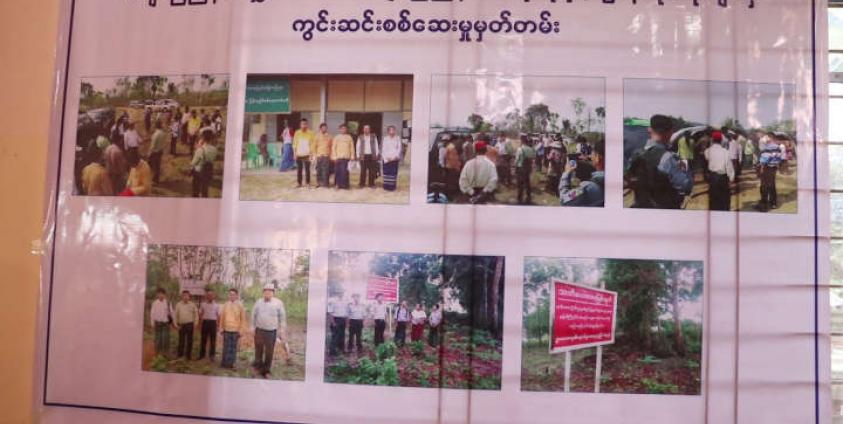 Tissue Culture Banana Company Demands 120 Million Kyat From Locals