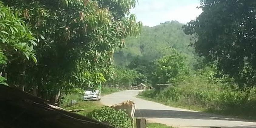 A Road in Karen State