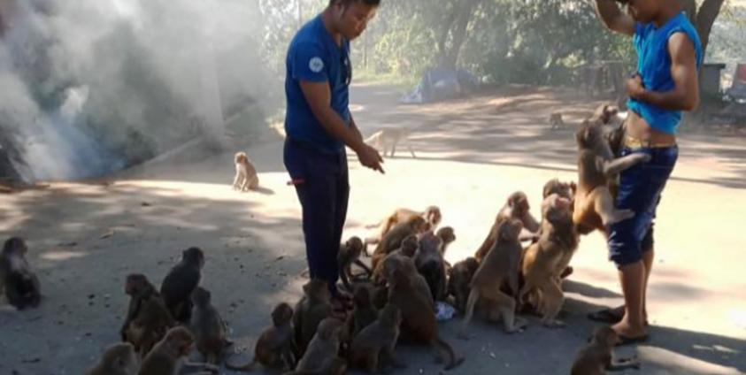 Photo: U Hla Saw Khaing (Ponnarmyay)