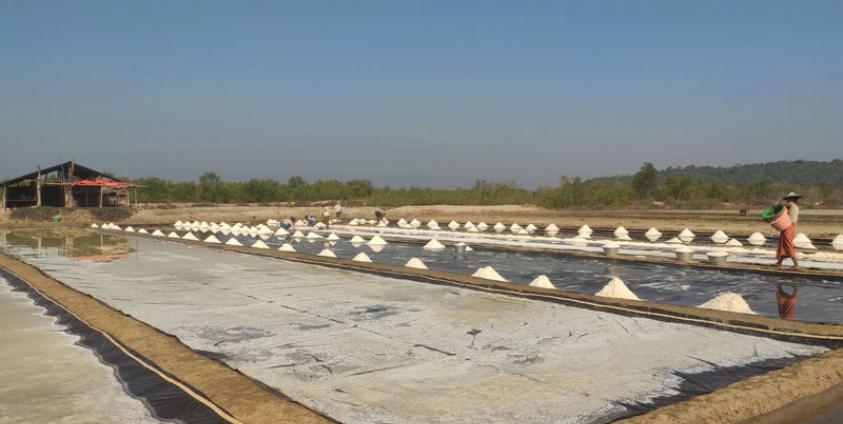 A salt farm in Kyaukphyu Township, Arakan State. (Photo: Tun Kyawl)