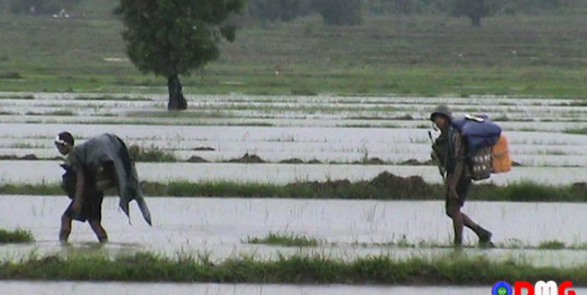 A troop of Tatmadaw soldiers were patrolling in Kyauktaw Township in July. (Photo - DMG)